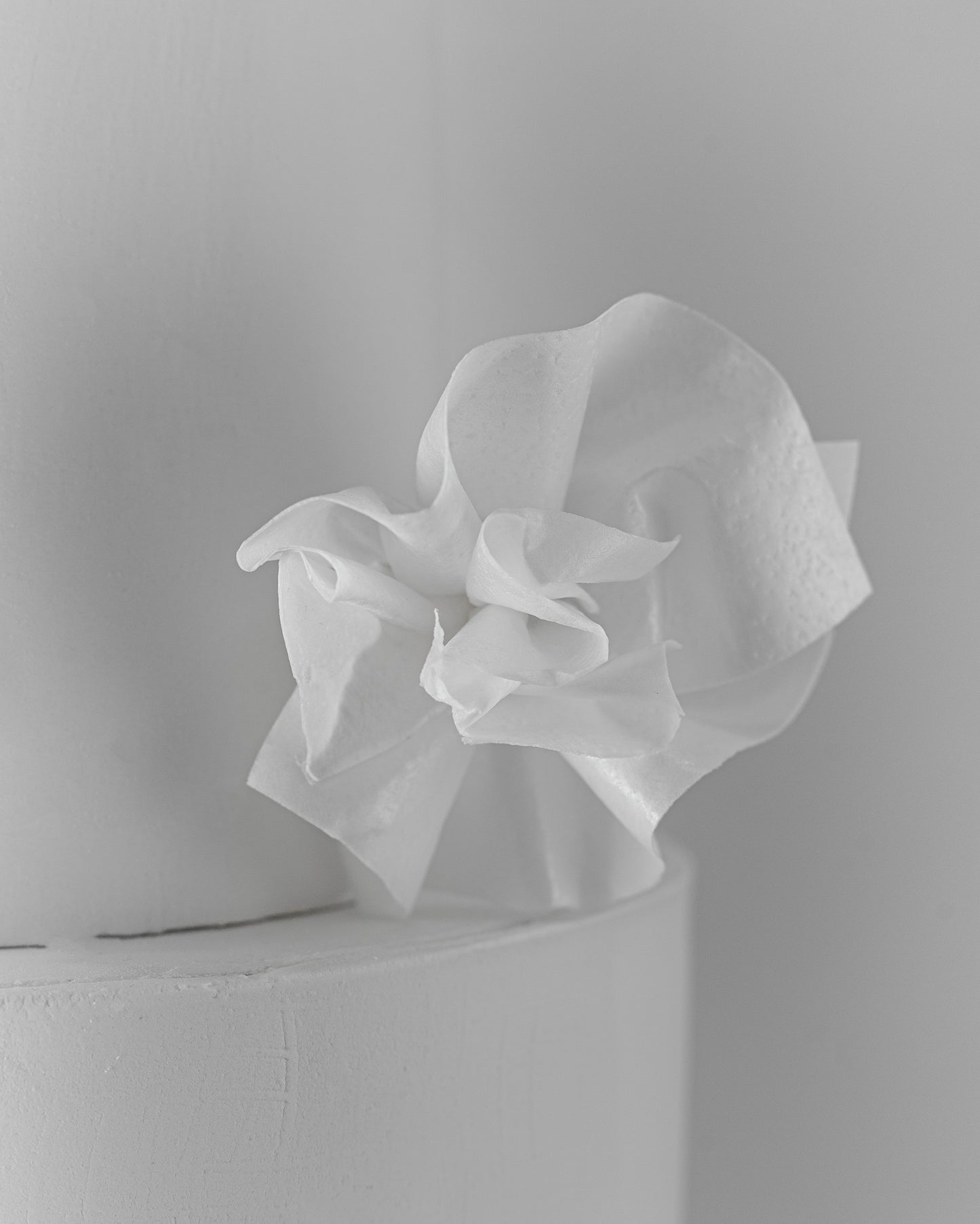 Paper Petal