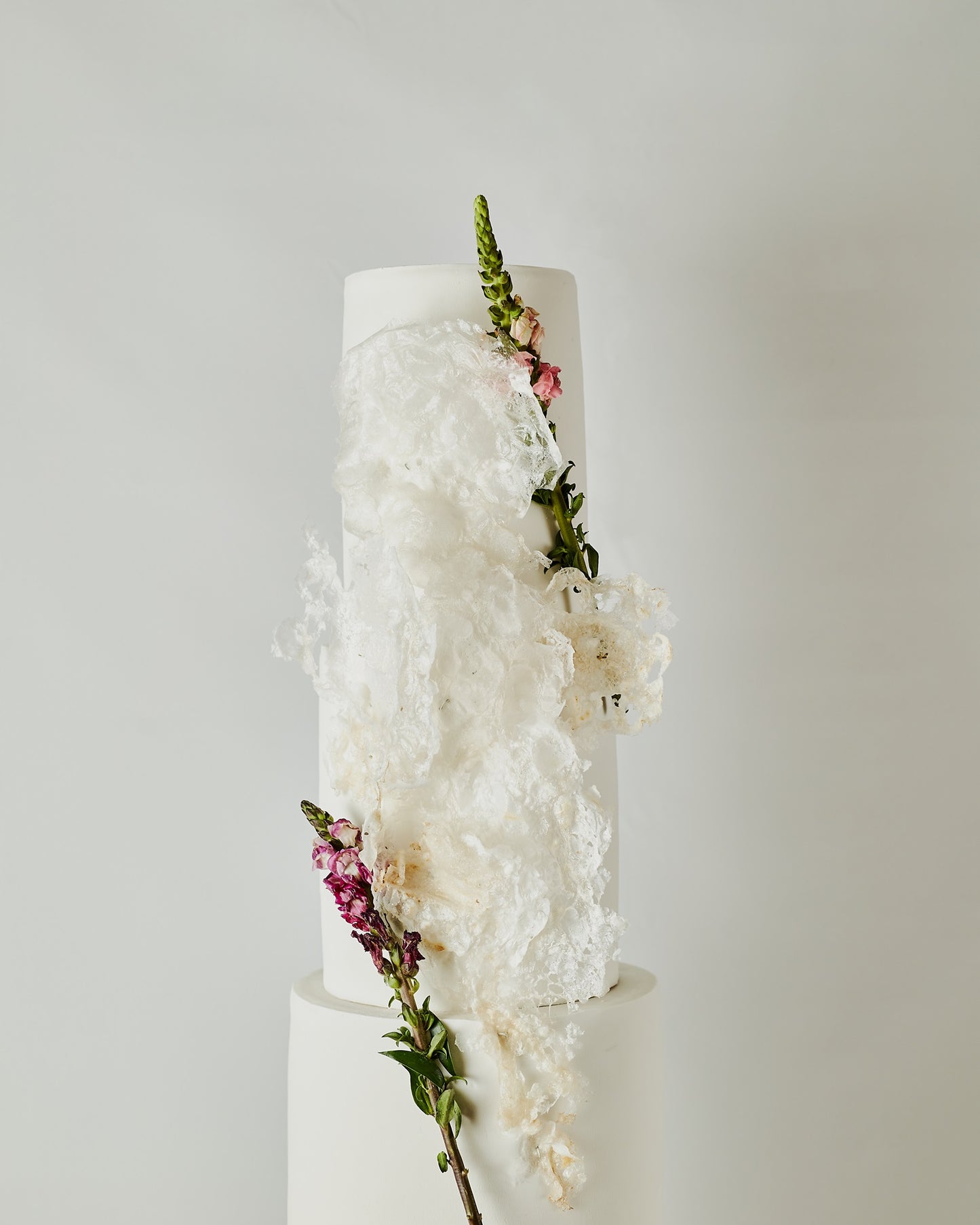 Cloud Bloom