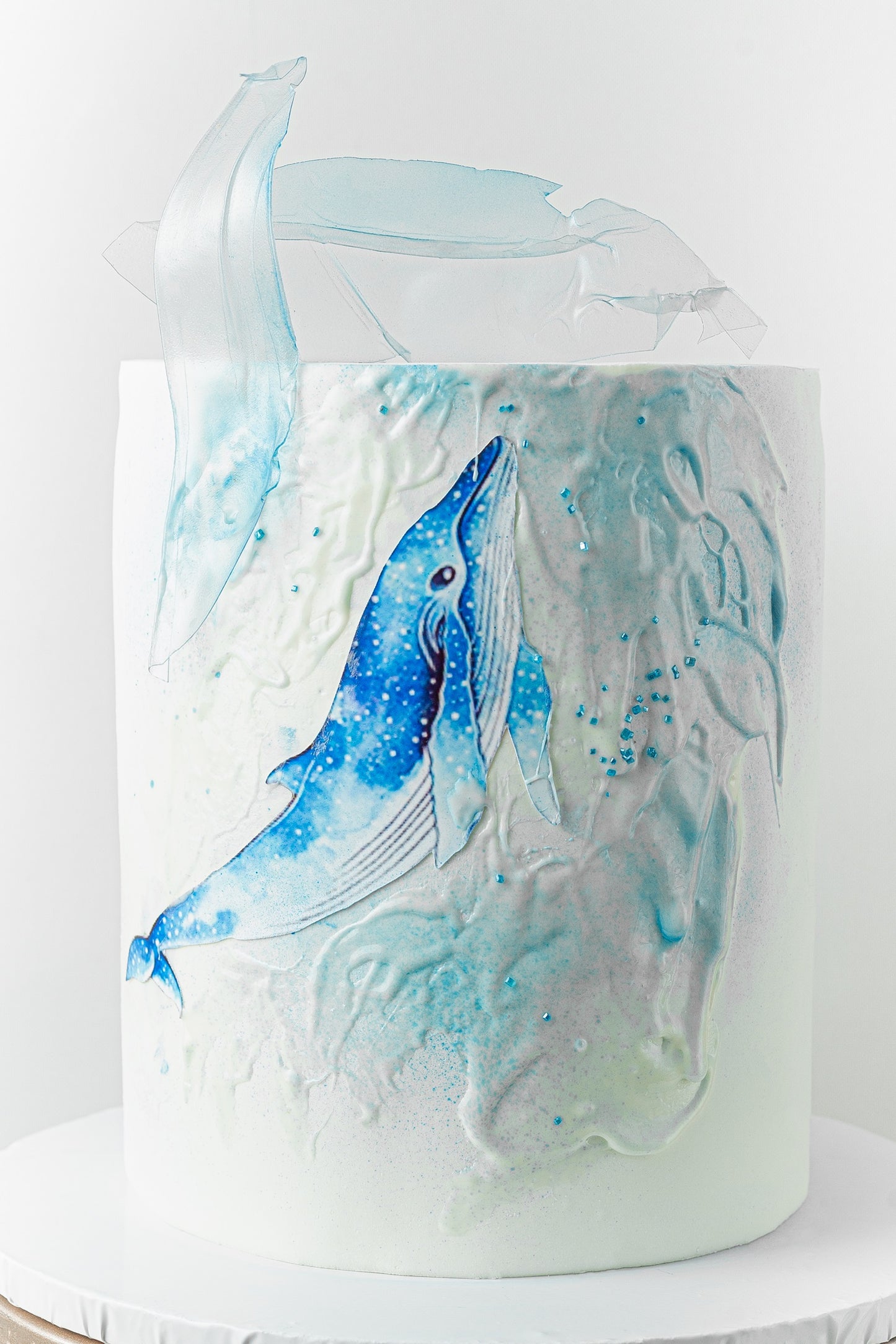 Ocean Whirl