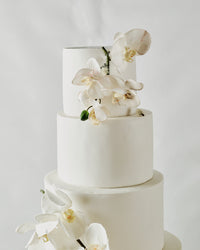 Orchid Grace