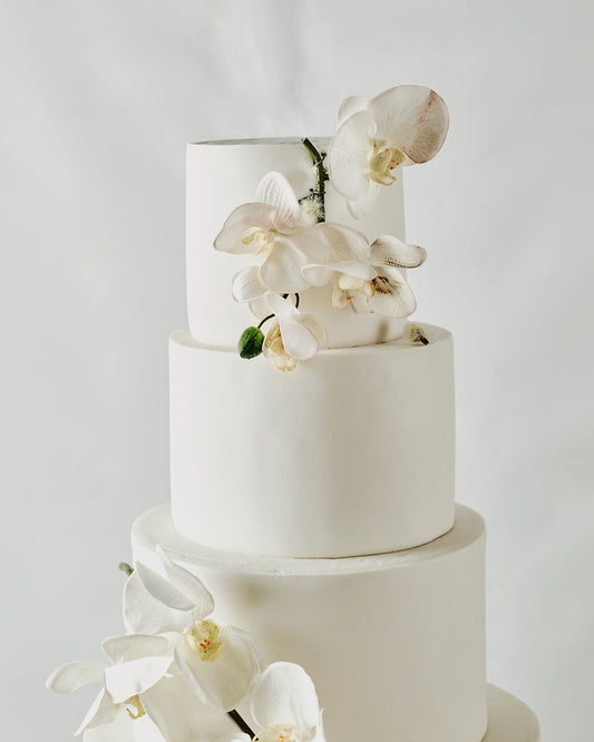 Orchid Grace