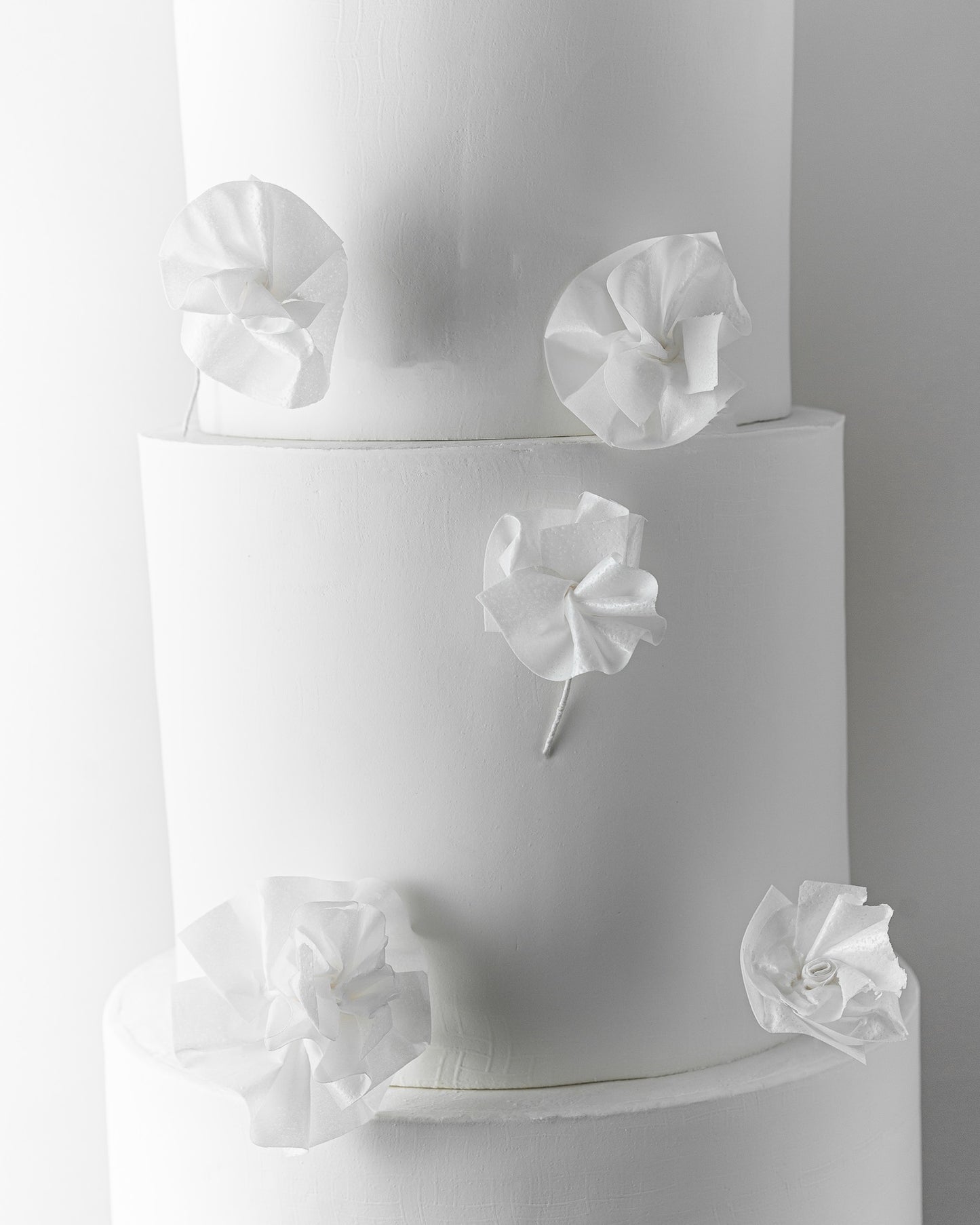 Paper Petal