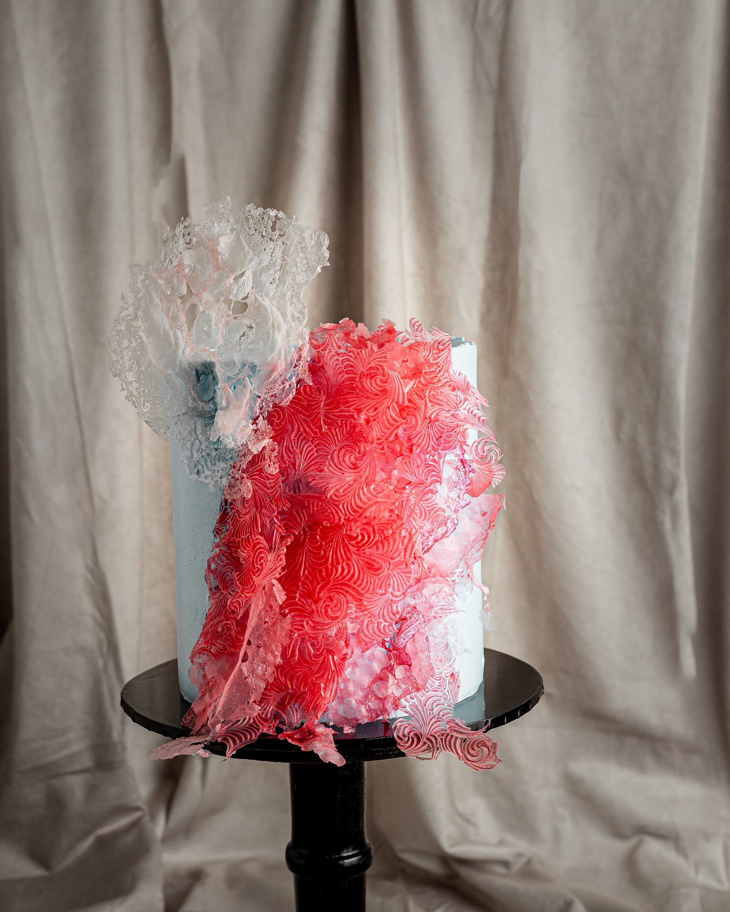 Sugar Coral