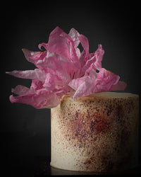 Untamed Petal