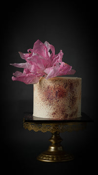 Untamed Petal